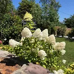 Bed & Breakfast La Ferme D'ika Saint-Jean-de-Luz