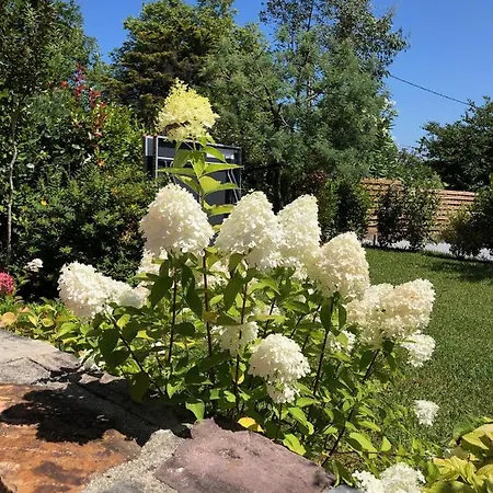 Alojamento de Acomodação e Pequeno-almoço La Ferme D'ika Saint-Jean-de-Luz