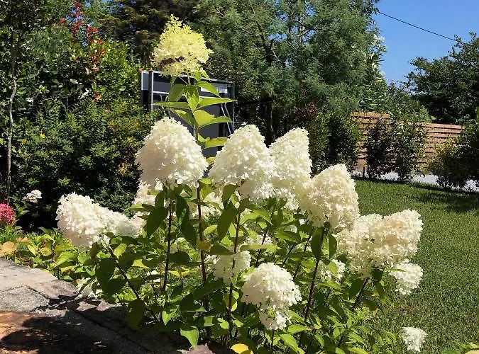 Bed & Breakfast La Ferme D'ika Saint-Jean-de-Luz